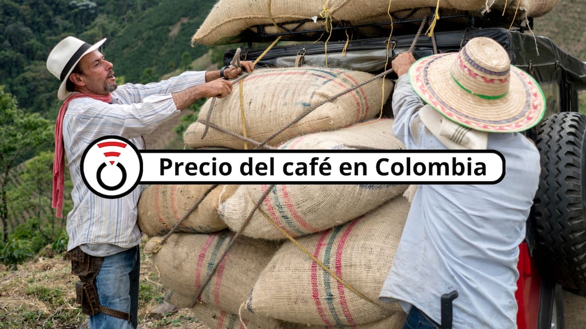 Precio del café en Colombia HOY 24 de junio de 2026 según la FNC: Aumentan cargas, kilos y arrobas