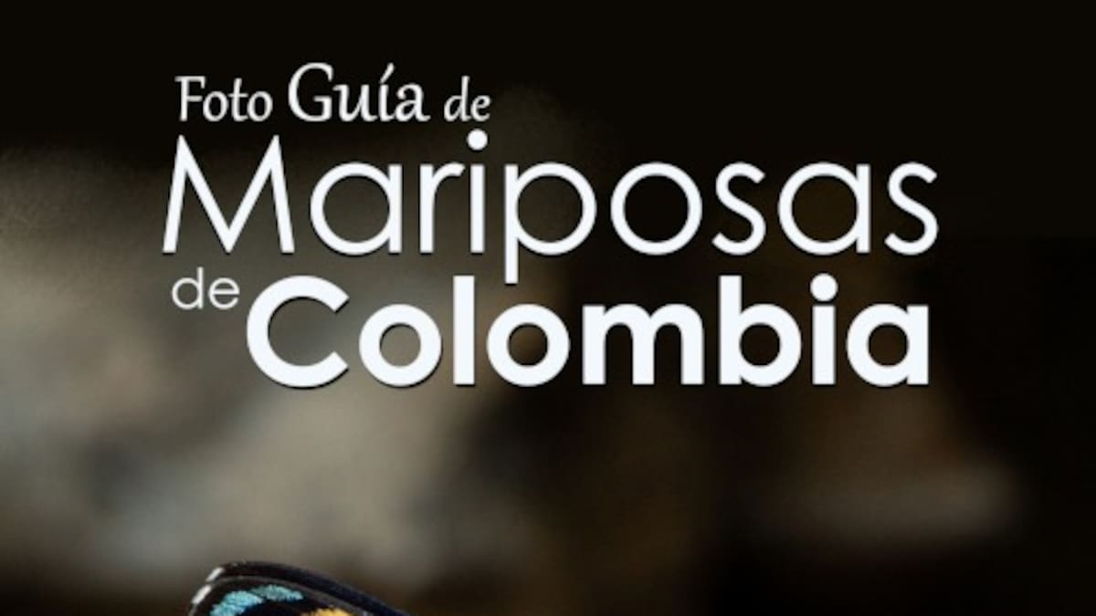 A 3.877 se eleva el número de especies de mariposas registradas en Colombia