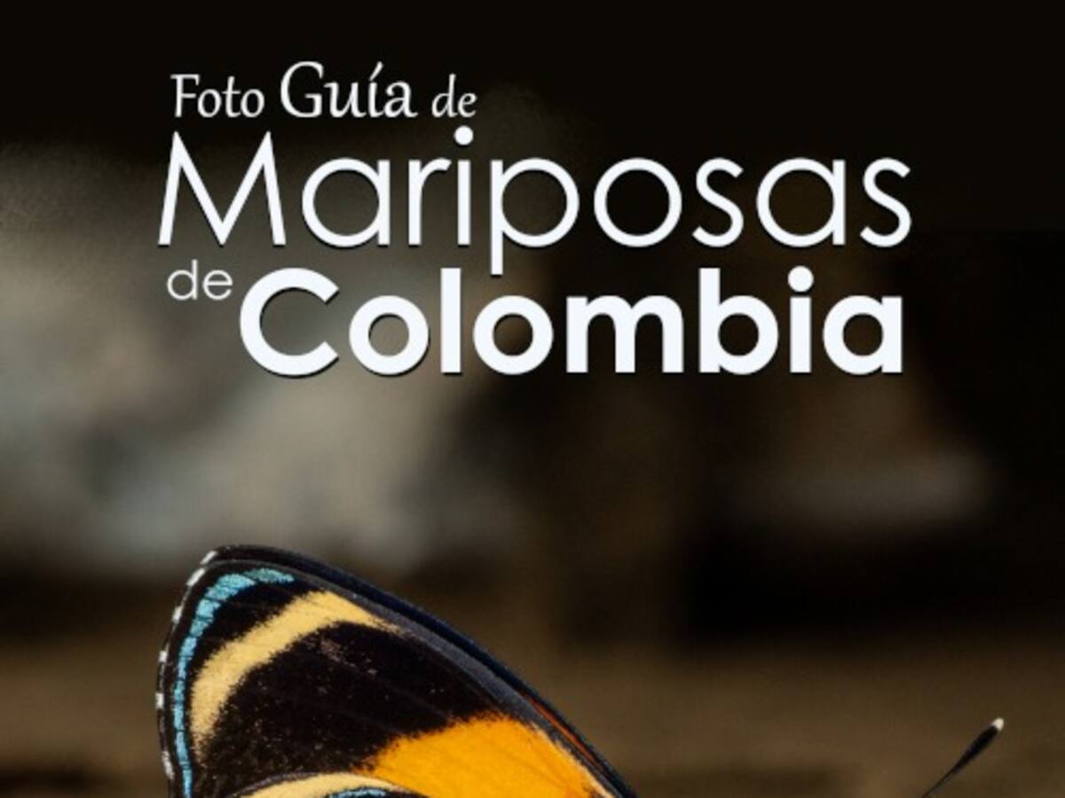 A 3.877 se eleva el número de especies de mariposas registradas en Colombia