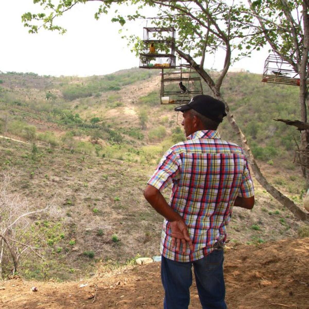 Solo se ha cumplido con el 16% de adjudicación de tierras en el Acuerdo de Paz