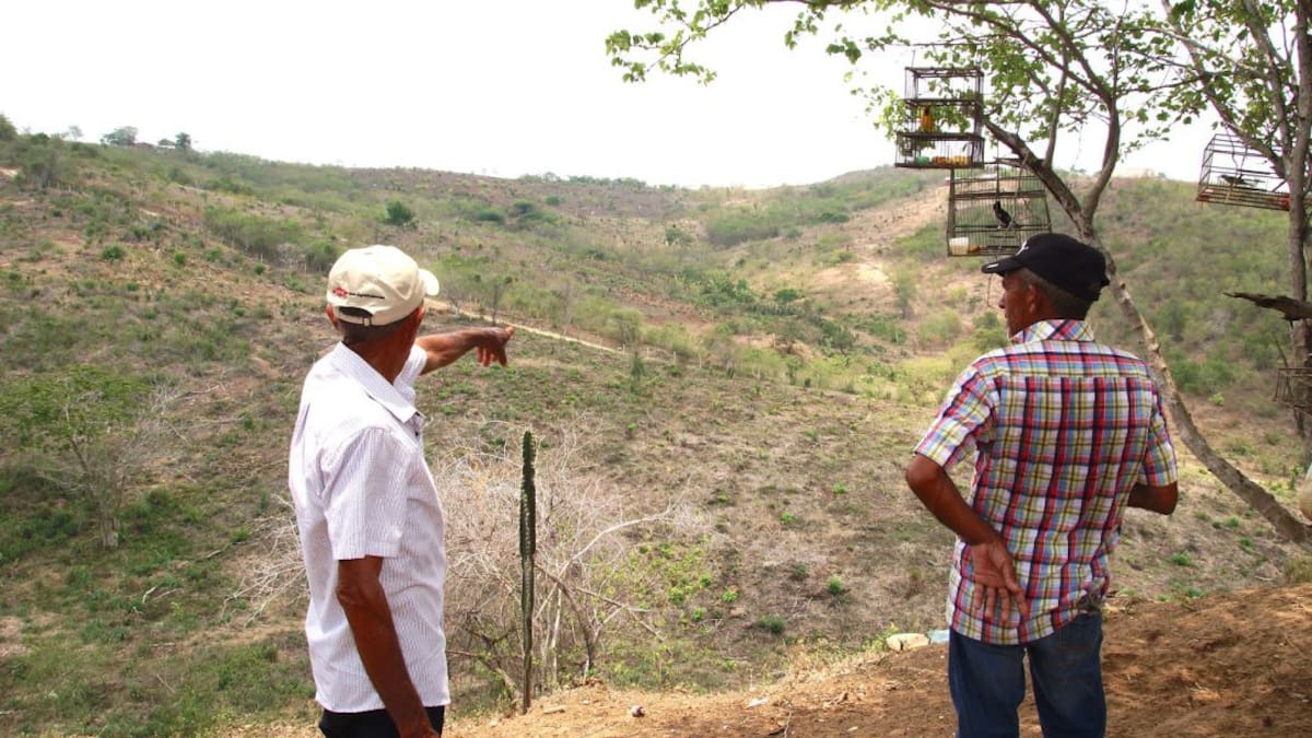 En 9 años de restitución de tierras se han condenado 66 empresas del país