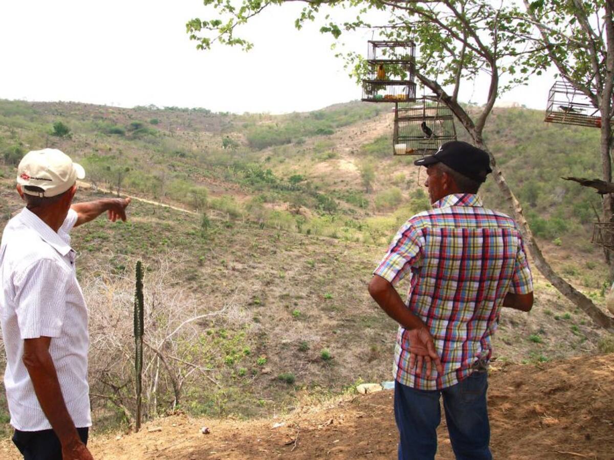 En 9 años de restitución de tierras se han condenado 66 empresas del país