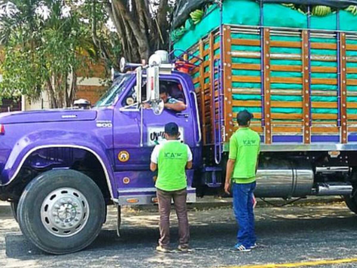 Instituto Colombiano Agropecuario, supervisa productos vegetales en Bolívar