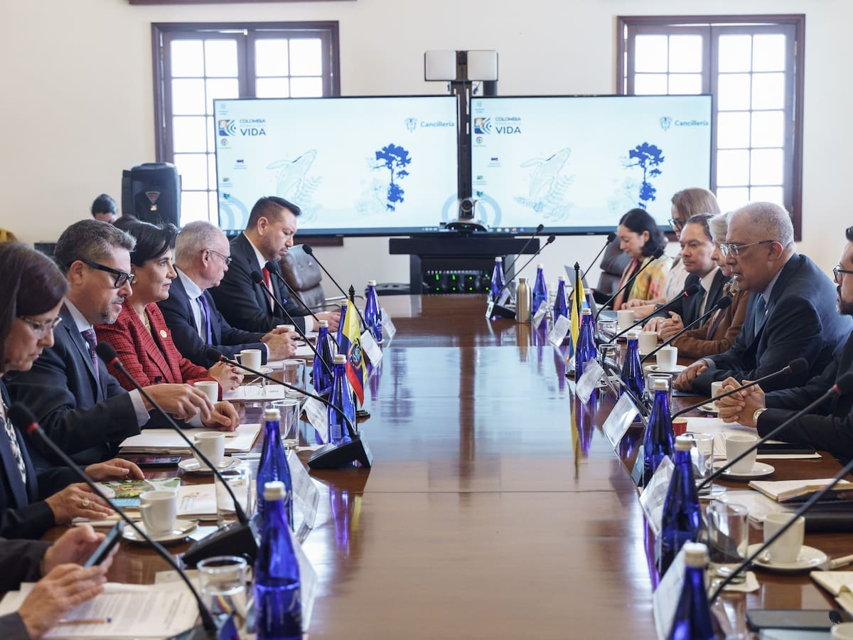 Colombia y Ecuador seguirán acuerdo para la repatriación individual de detenidos