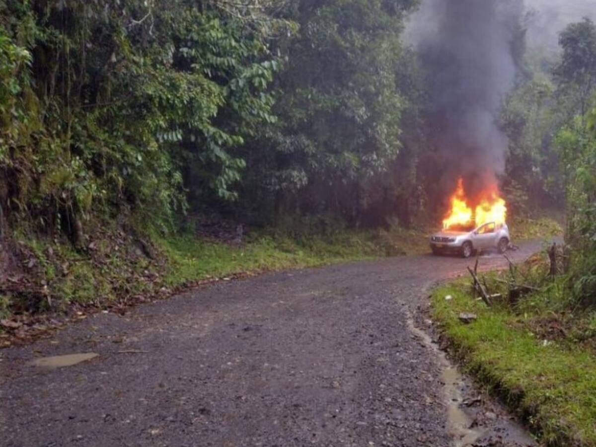 Preocupación por anuncios de nuevo paro armado en Argelia, Cauca