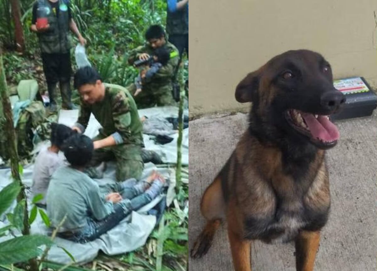 Niños rescatados en el Guaviare y perro Wilson | Foto: Fuerzas Militares