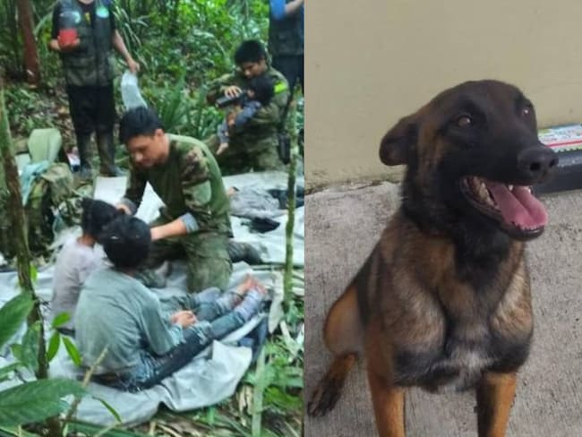 Niños rescatados en el Guaviare y perro Wilson | Foto: Fuerzas Militares