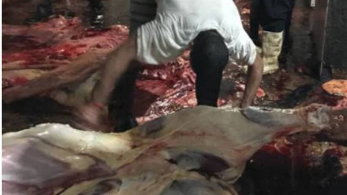 A Santa Marta ingresan 5 mil kilos de carne diarios desde Venezuela
