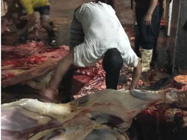 A Santa Marta ingresan 5 mil kilos de carne diarios desde Venezuela