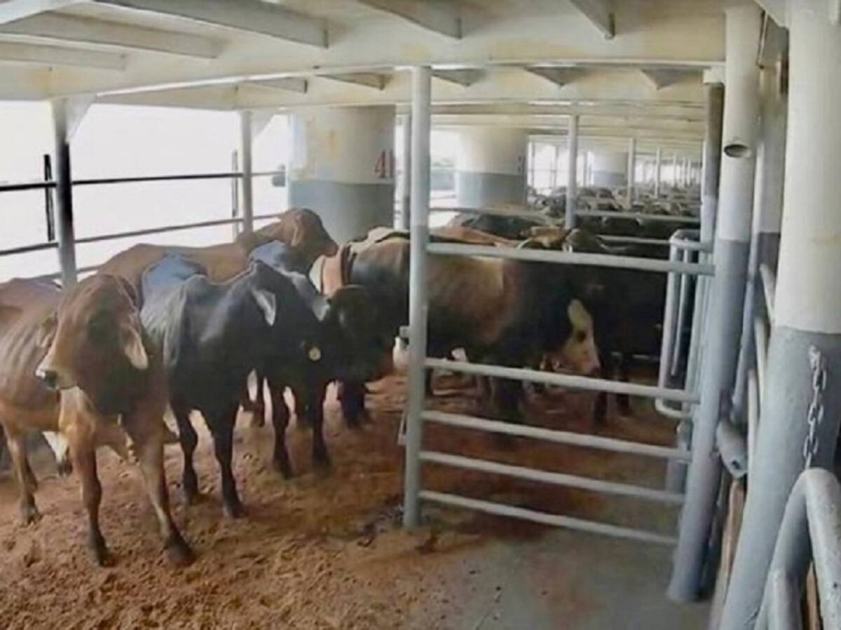 Avanza cruzada para recuperar el coliseo de ferias