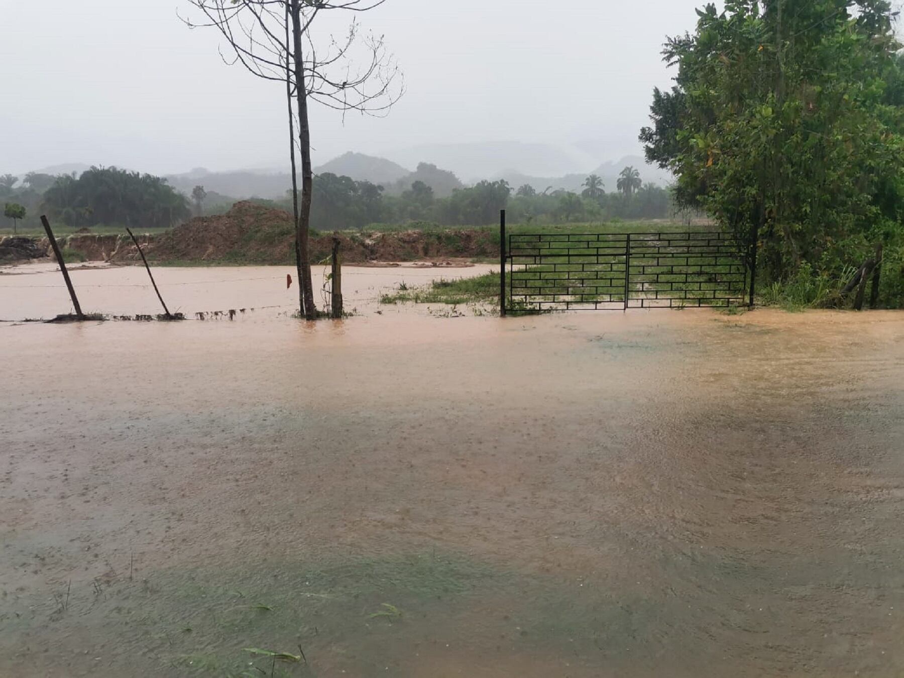 Alerta por la temporada de lluvias en el Tolima.