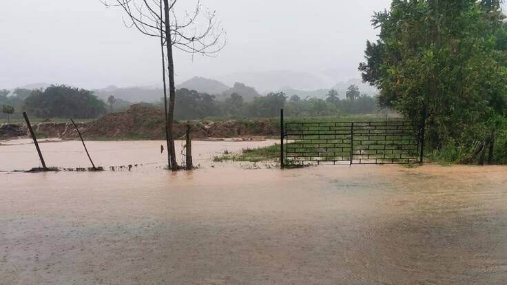 Los cambios del clima y sus efectos sobre la agricultura y la ganadería