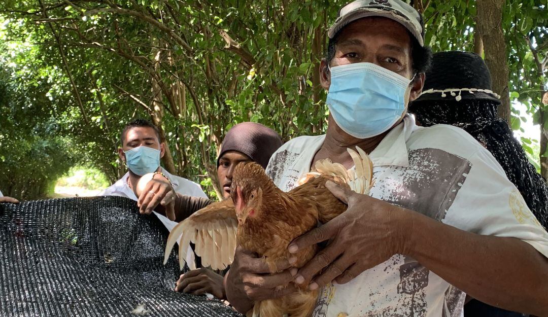 Los recursos entregados a 40 familias en insumos agropecuarios y gallinas ponedoras superan los 80 millones de pesos.