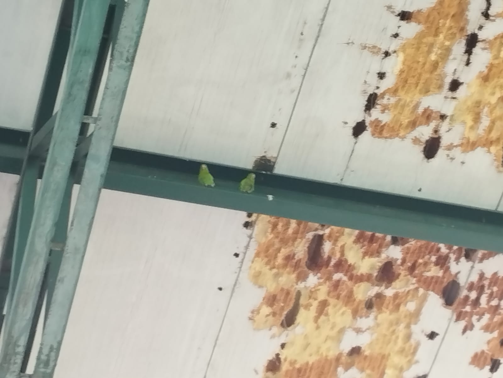 Foto: Caracol Radio.