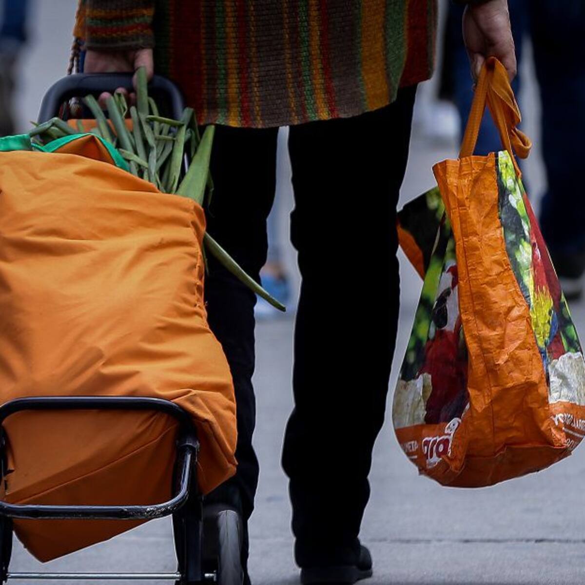 Reportan buena oferta de alimentos en época de pandemia