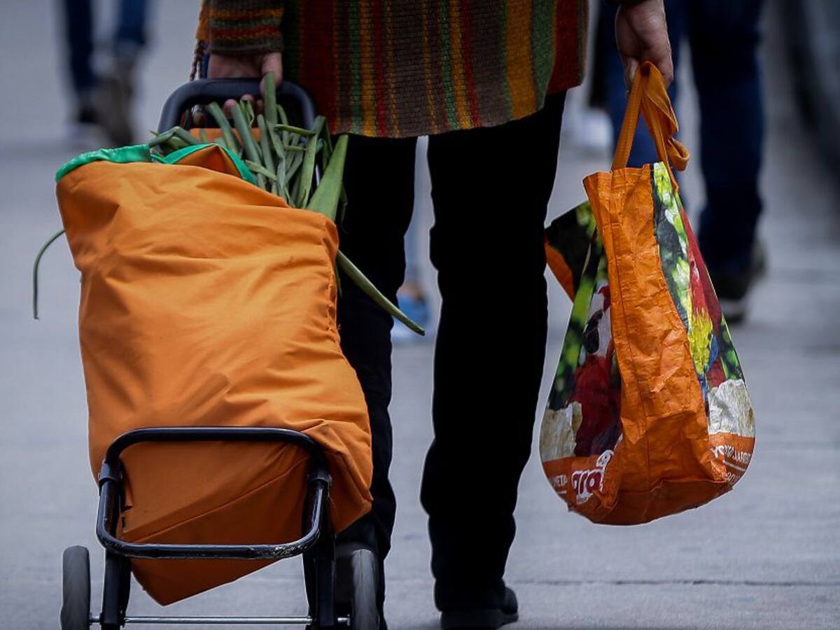 Reportan buena oferta de alimentos en época de pandemia