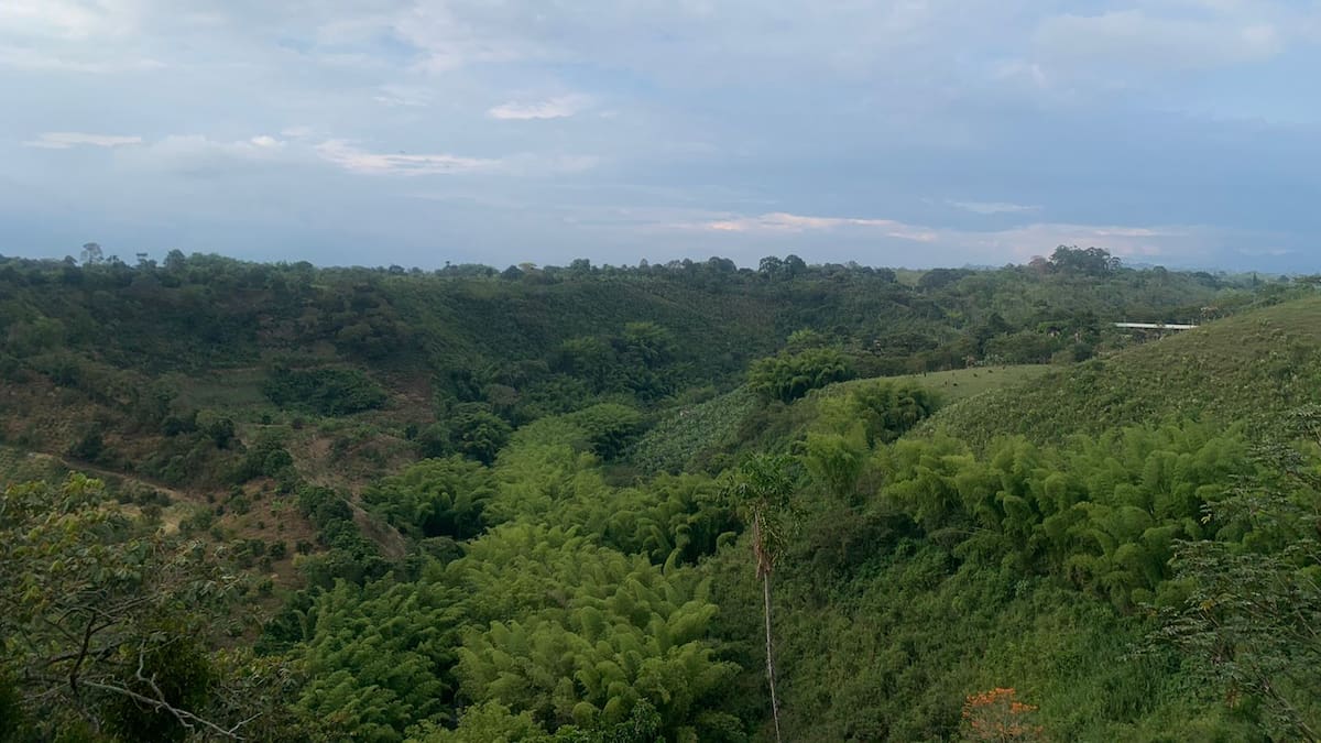 Lunes 4 de septiembre, las noticias más importantes de Armenia y Quindío