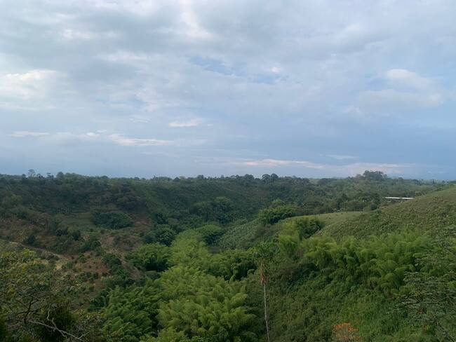 Paisaje en sector rural de Montenegro- Vanessa Porras