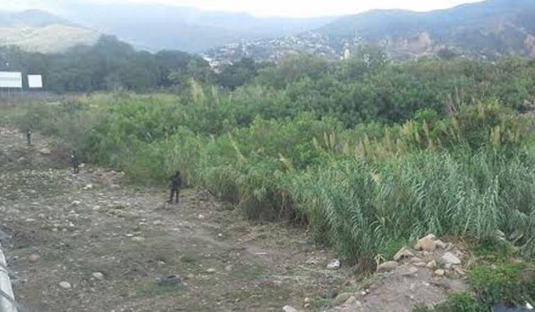 Frontera colombo venezolana. 
