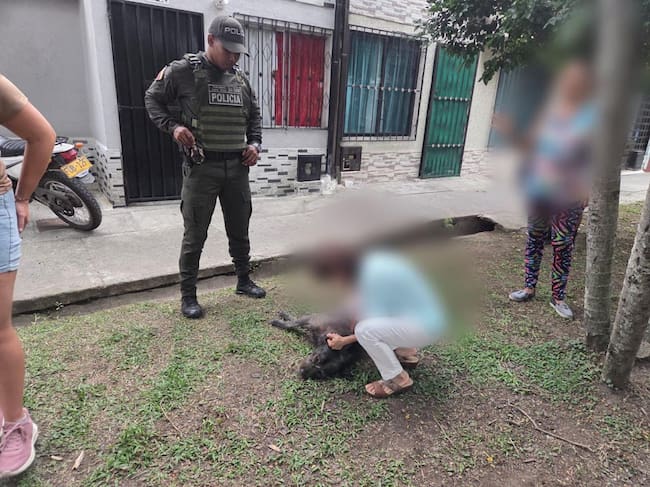 Caso de maltrato animal en Palmira Valle del Cauca / Foto:Policía Valle