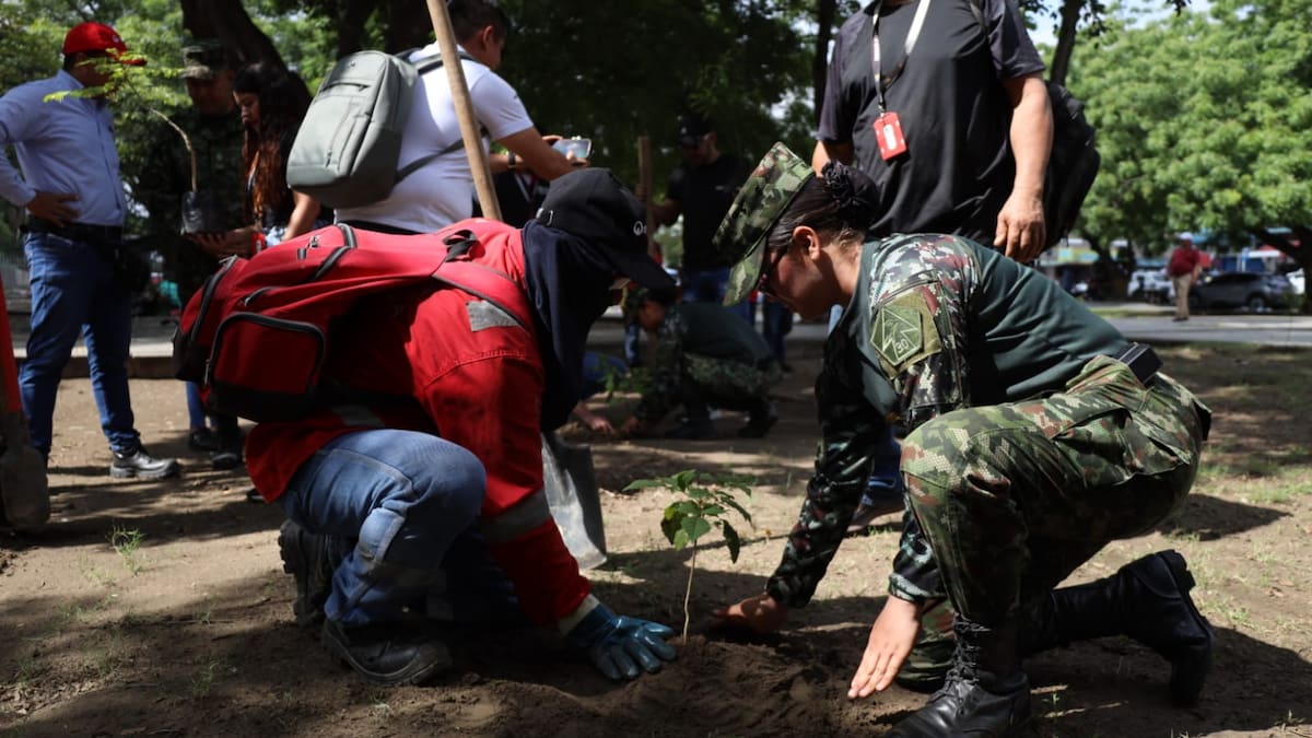 Jornada de intervención en Parque Lineal de Cúcuta