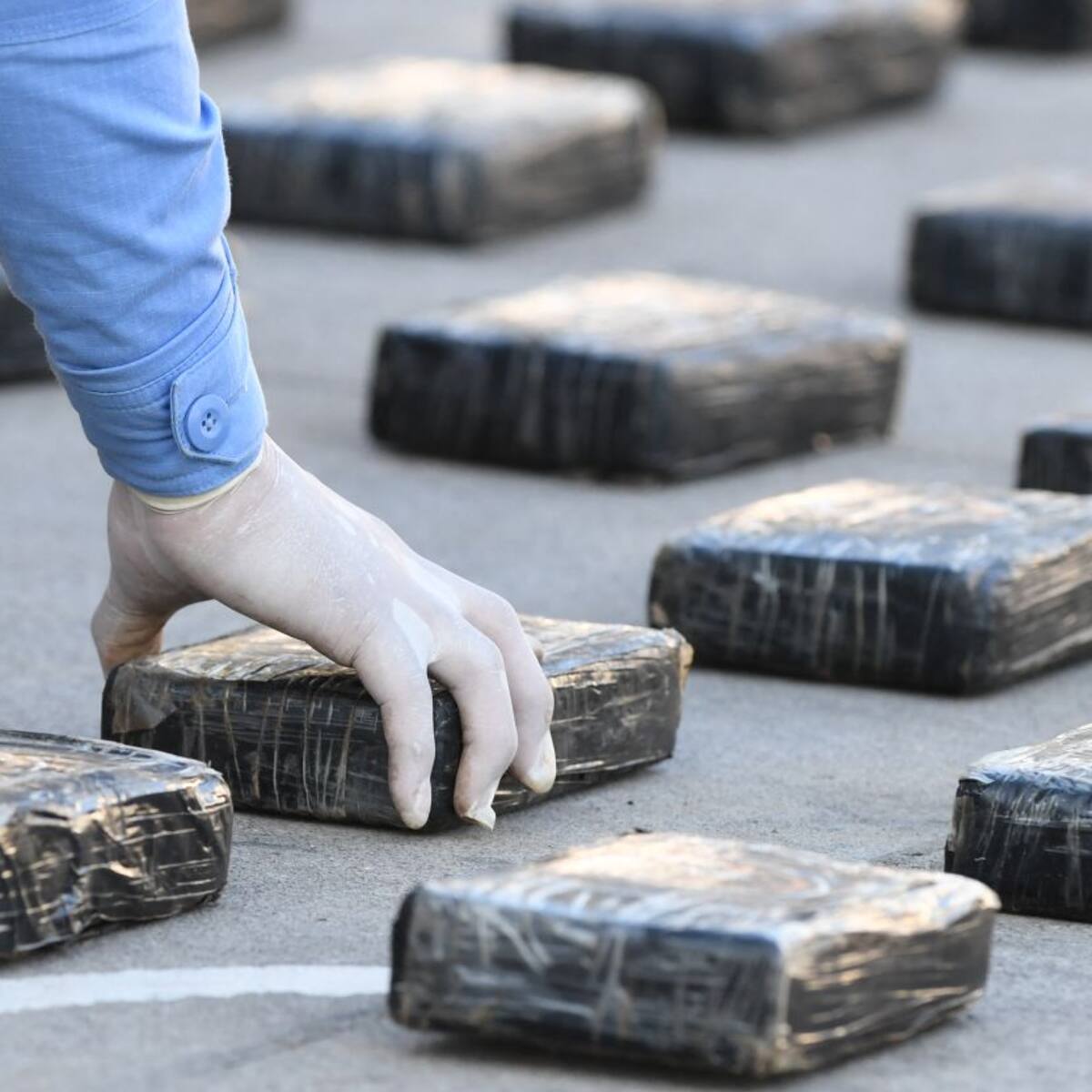 De la Espriella reporta 19 capturas y millonarias incautaciones de droga en las últimas 24 horas