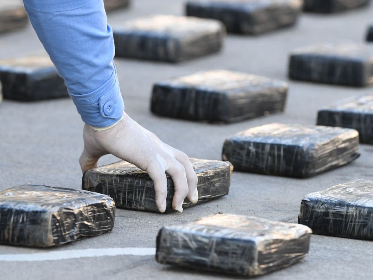De la Espriella reporta 19 capturas y millonarias incautaciones de droga en las últimas 24 horas