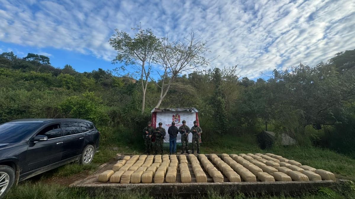 En el Huila incautan 500 kg de marihuana y evitan la llegada de un millón de dosis al mercado