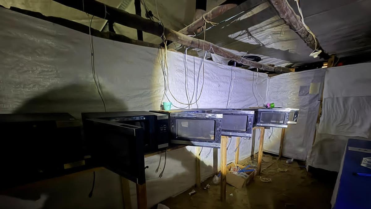 Autoridades desmantelaron un complejo de producción cocalera de las disidencias en El Tambo, Cauca