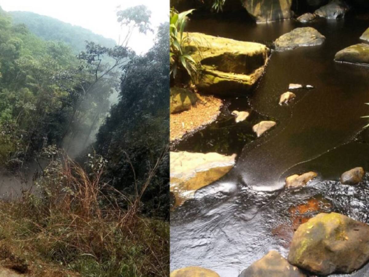 Emergencia ambiental en el Catatumbo