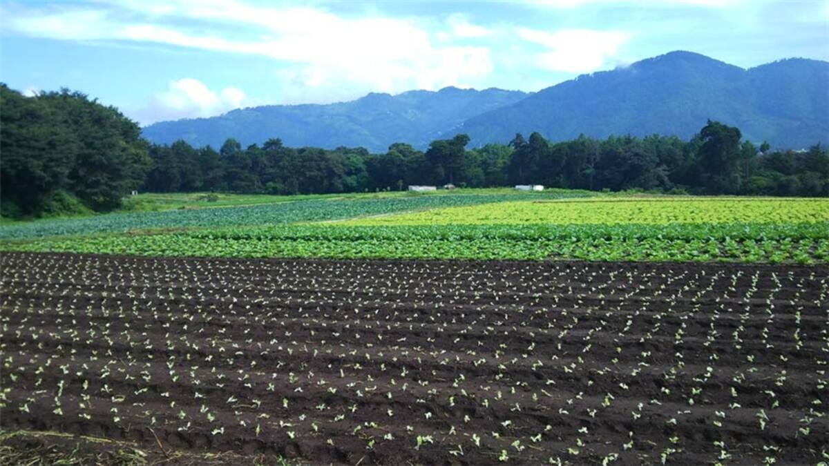 Atrapada entre lineas... Naguanagua (Venezuela).Foto: Marcos José Urquia Aure