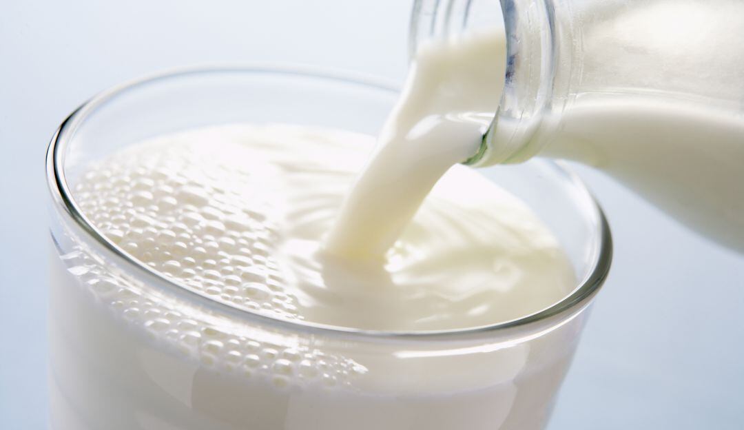 Leche, alimento muy importante.