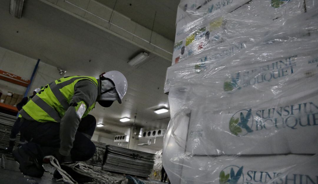 Crecimiento comercio e industria 2021