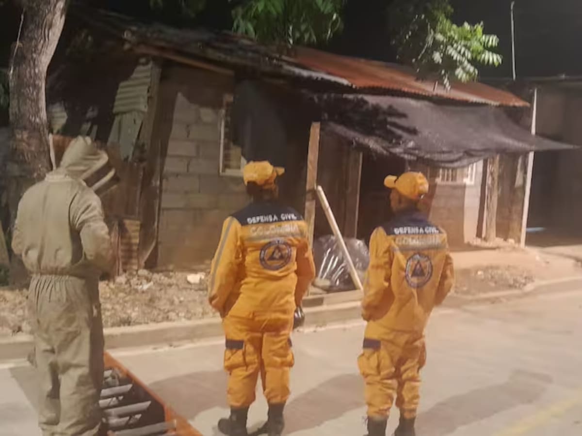 En Santander una familia fue atacada por abejas africanas