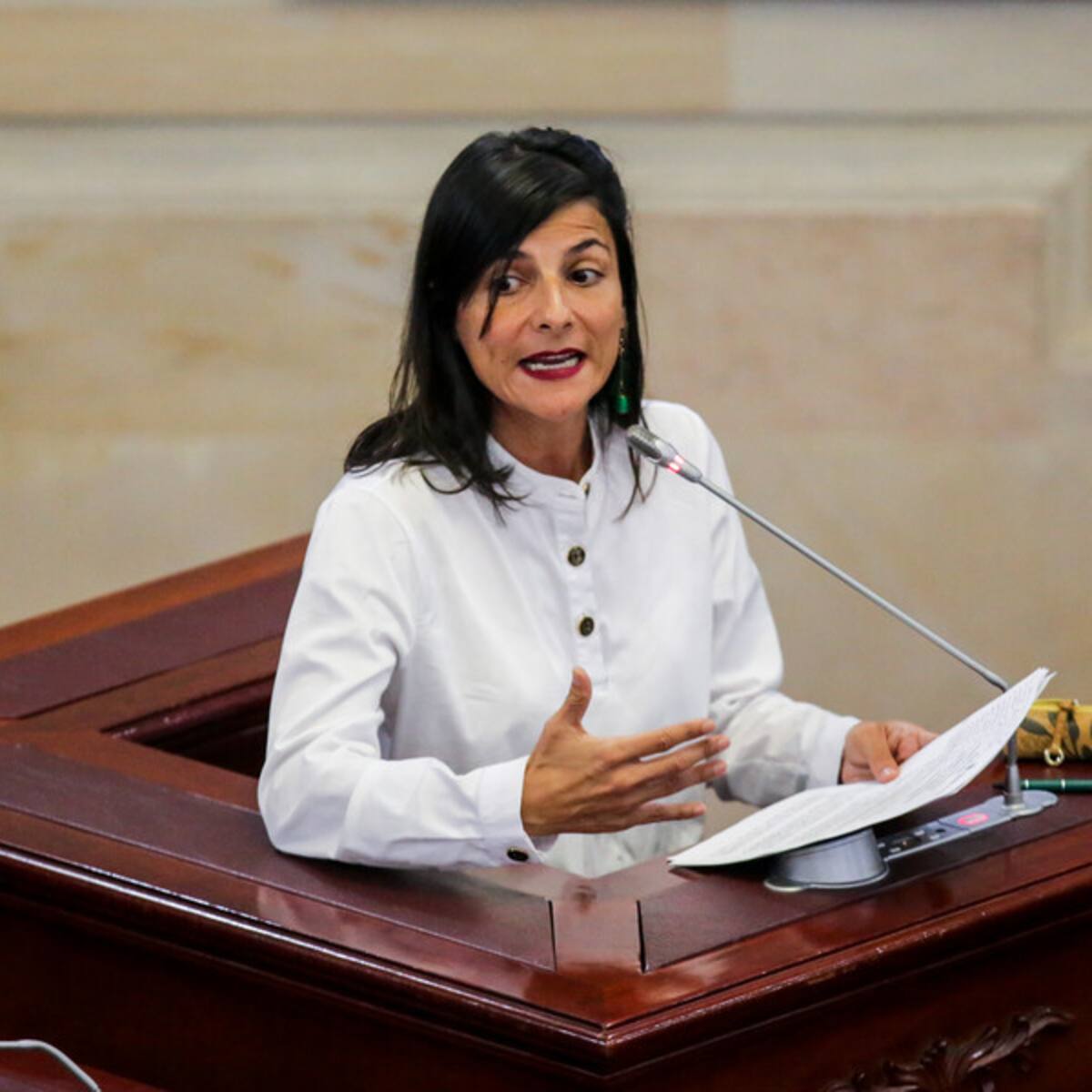 Piden agilizar proceso de moción contra ministra de minas en Cámara de Representantes