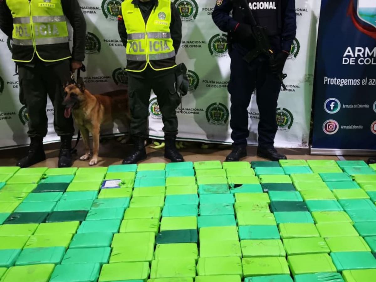 Decomisan nuevo cargamento de cocaína en el puerto de Santa Marta