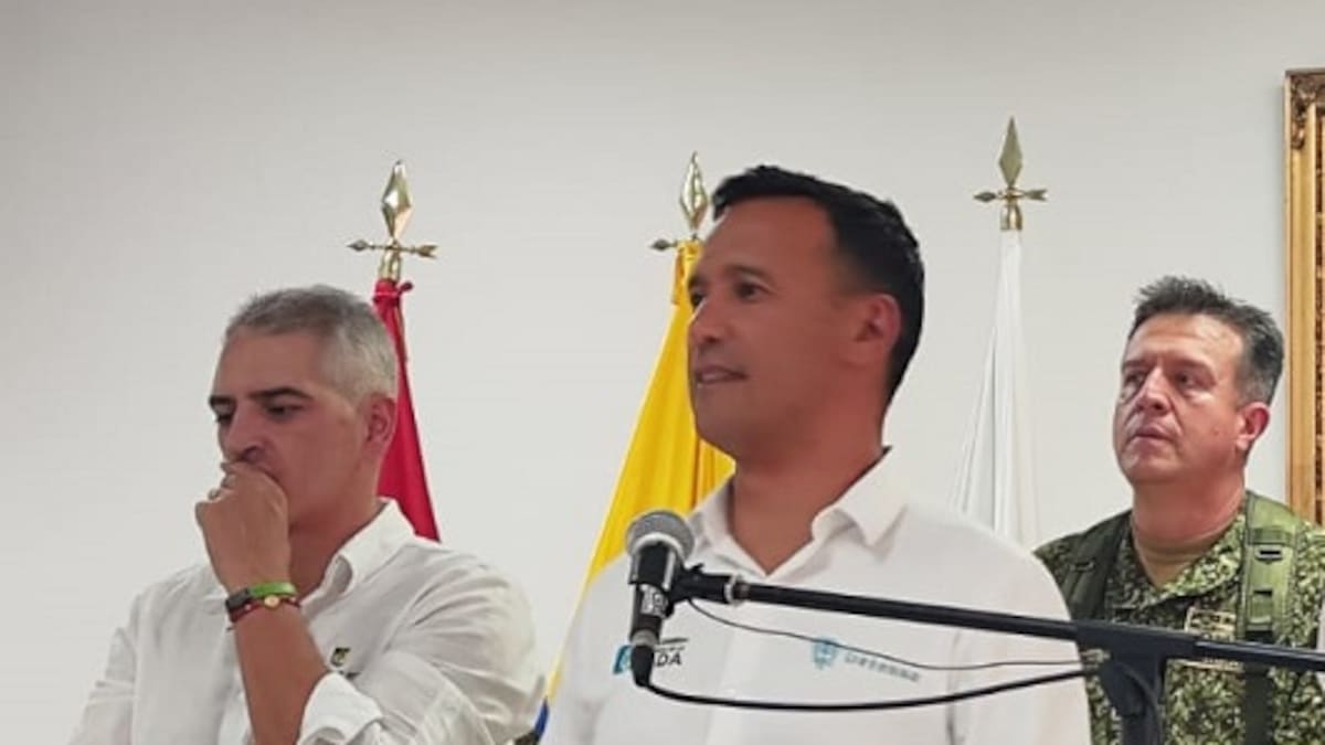 Mindefensa calificó como “traición” de los ilegales el no respeto al cese al fuego