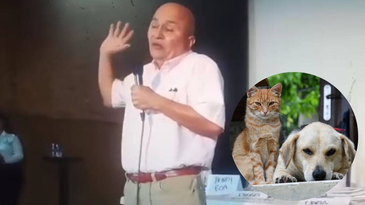 Candidato en Santander dijo que los centros de bienestar animal son una “vagabundería”