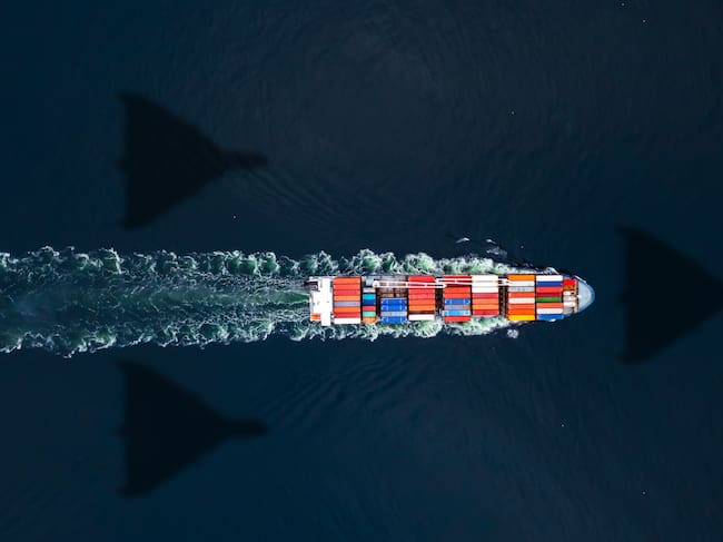 Irán permite el paso de 35 buques por el estrecho de Ormuz en las últimas 24 horas