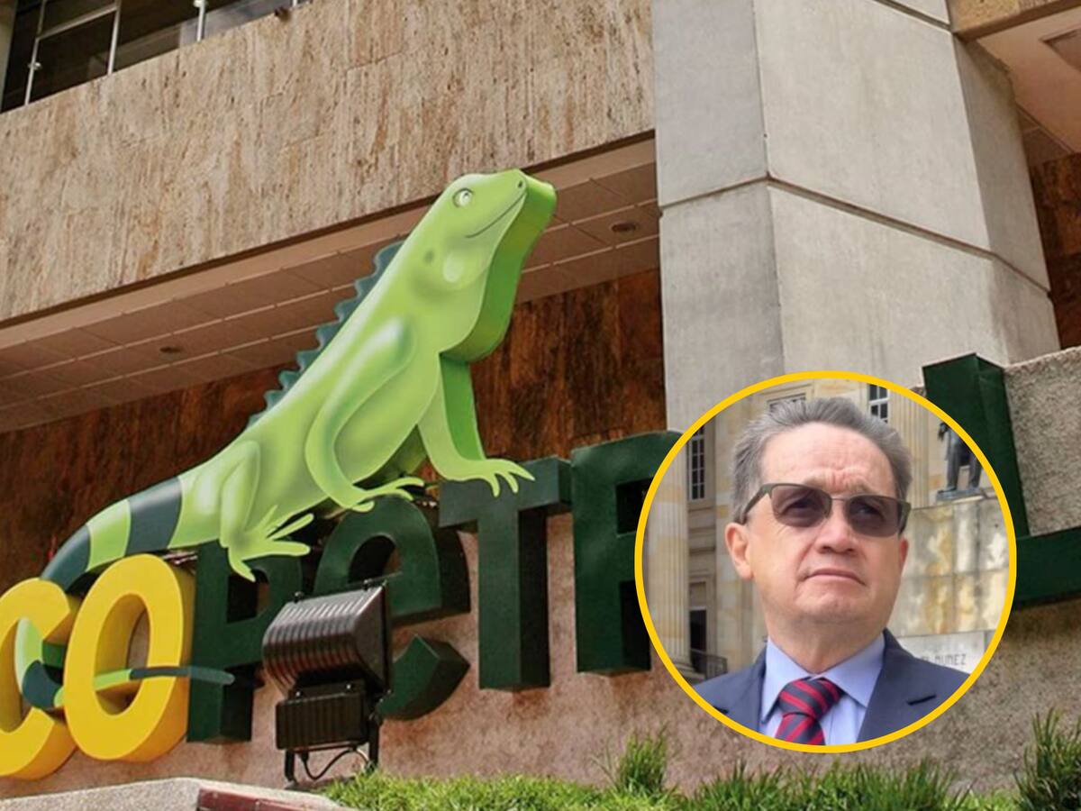 “Ecopetrol sigue desarrollando y explorando campos en concesión”: presidente de la junta