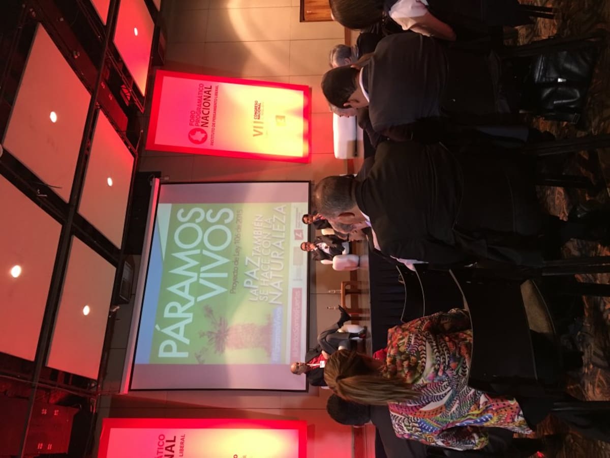 Maria Petterson encontró el éxito en internet gracias a su belleza, su escultural cuerpo y los asombrosos paisajes.