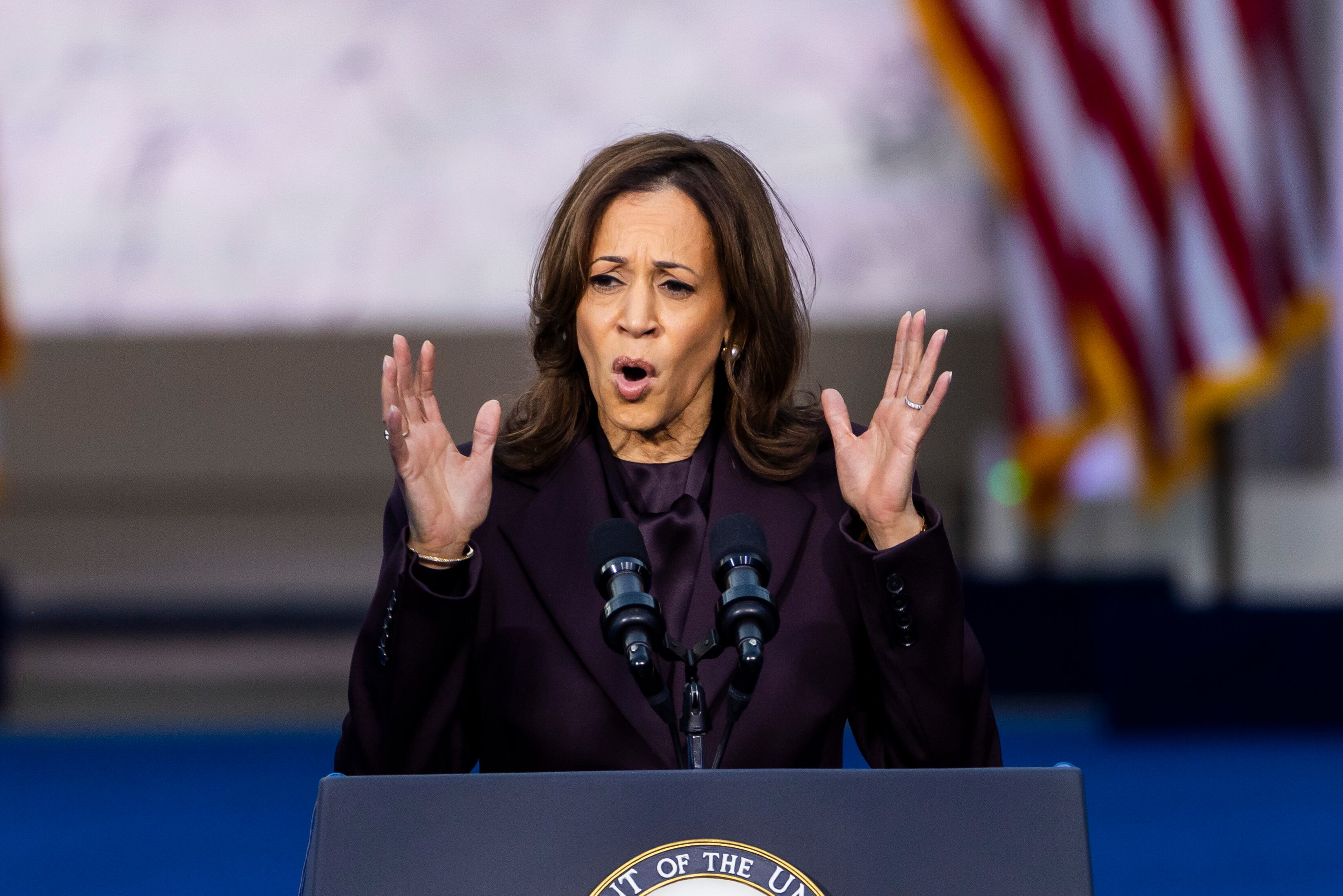 Washington (United States), 06/11/2024. EFE/EPA/JIM LO SCALZO