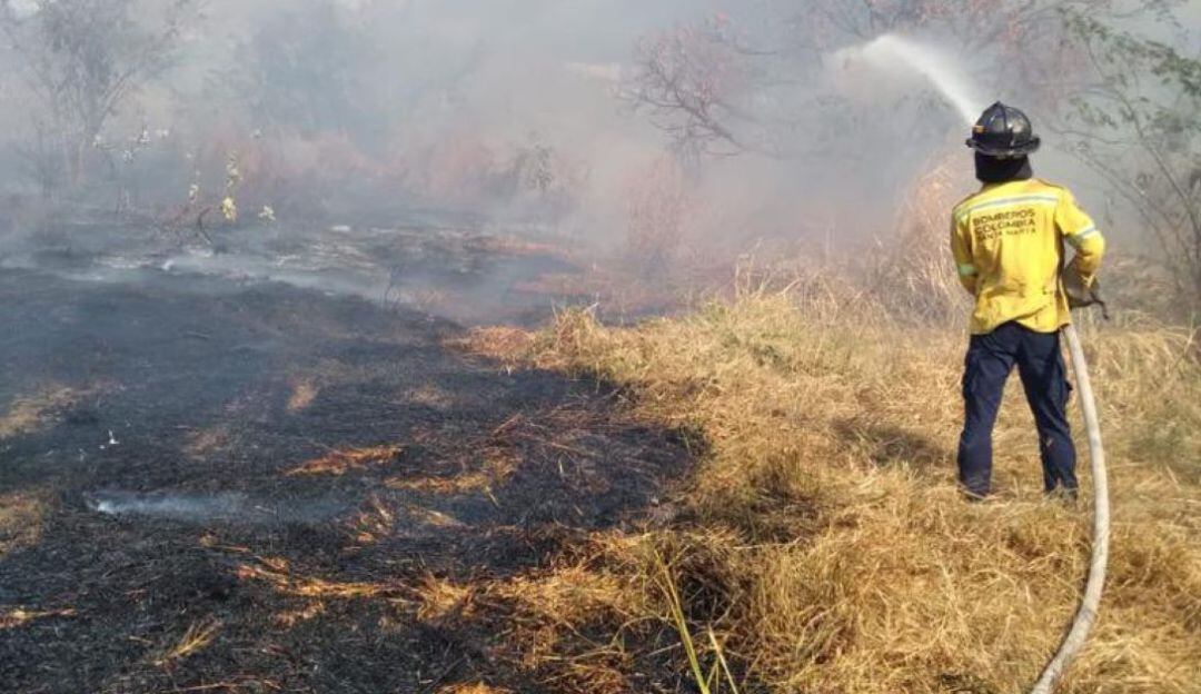 Incendios forestales 