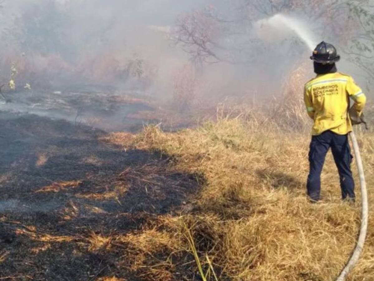 En el inicio de 2022 los incendios forestales han aumentado en Santa Marta