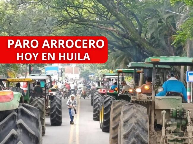 Paro arrocero HOY: en el Huila habrá puntos de concentración en Tesalia-Paicol, peaje de Neiva-Bogotá. Foto Relacionada.