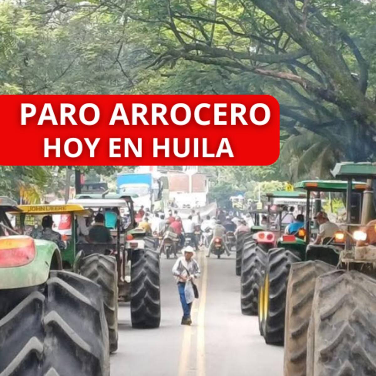 Paro Arrocero HOY en Colombia ¿Cuáles son los bloqueos parciales en vías del Huila? Horarios y más