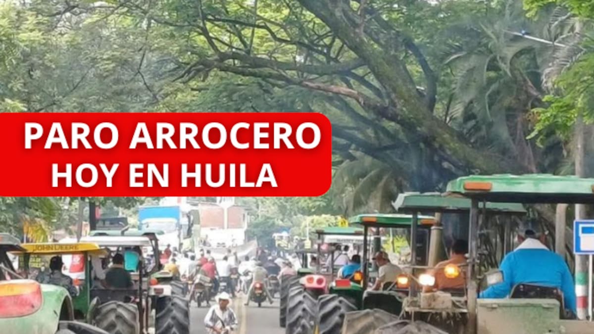 Paro Arrocero HOY en Colombia ¿Cuáles son los bloqueos parciales en vías del Huila? Horarios y más