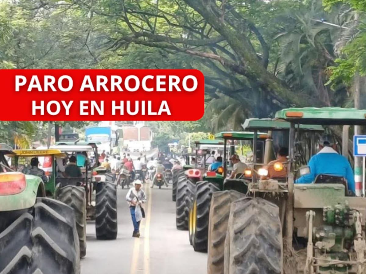Paro Arrocero HOY en Colombia ¿Cuáles son los bloqueos parciales en vías del Huila? Horarios y más