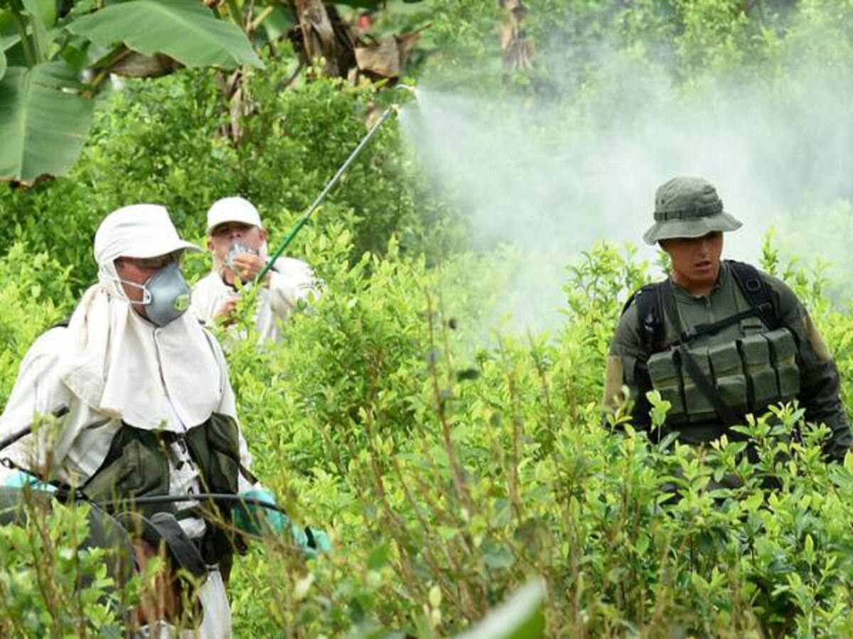 Hasta $100.000 pagan los narcotraficantes a campesinos para que ataquen policías por erradicar cultivos