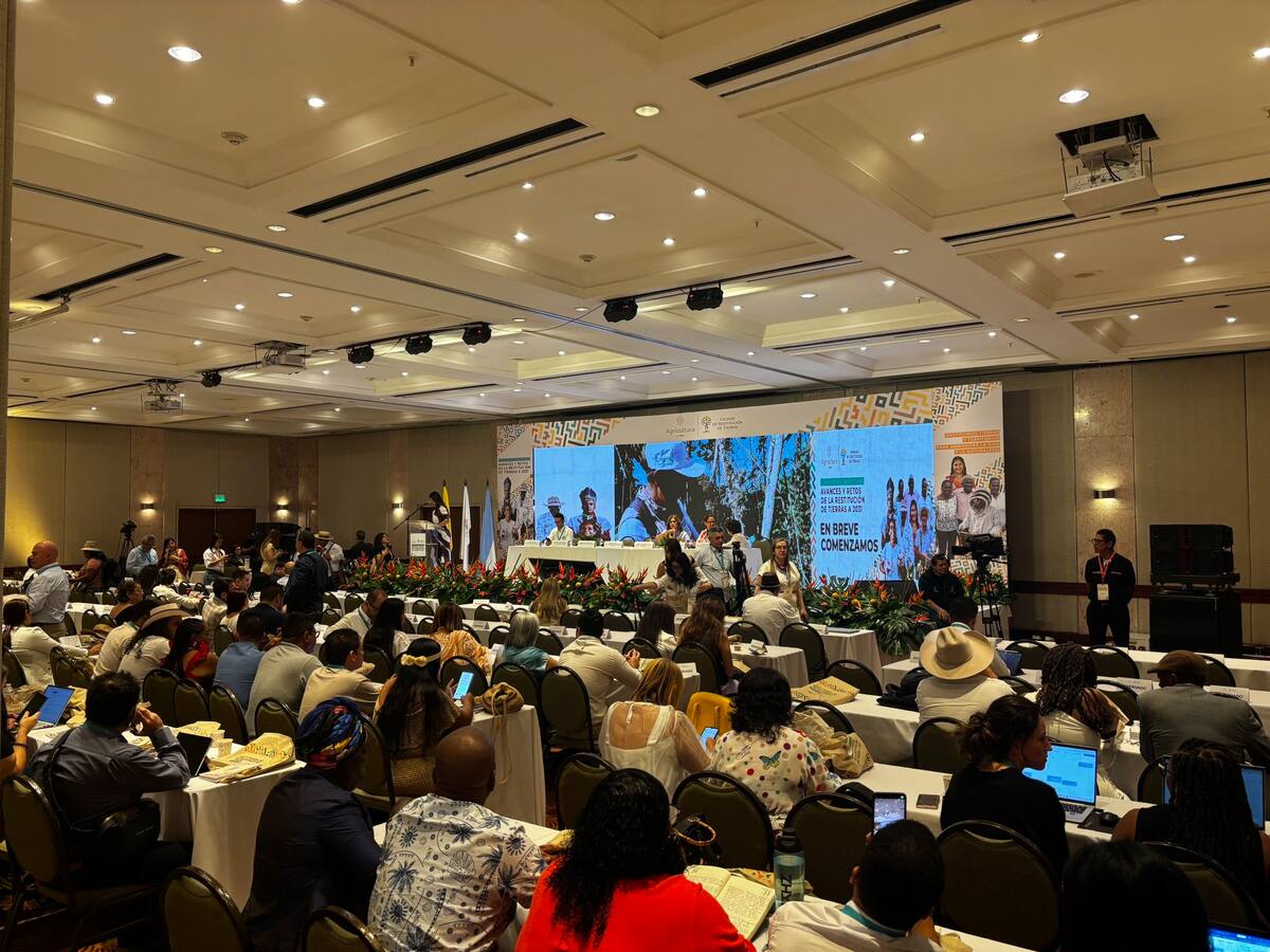 Colombia necesita avanzar en la restitución de tierras y garantizar el proceso luego del 2031